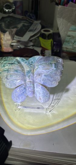 Ocean Jasper Butterfly