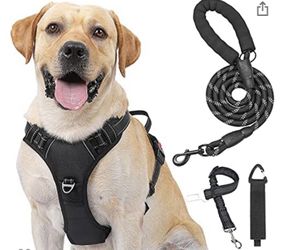 Dog Harness