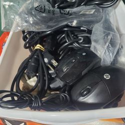 Power Cords 