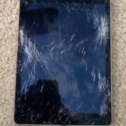 Apple iPad 