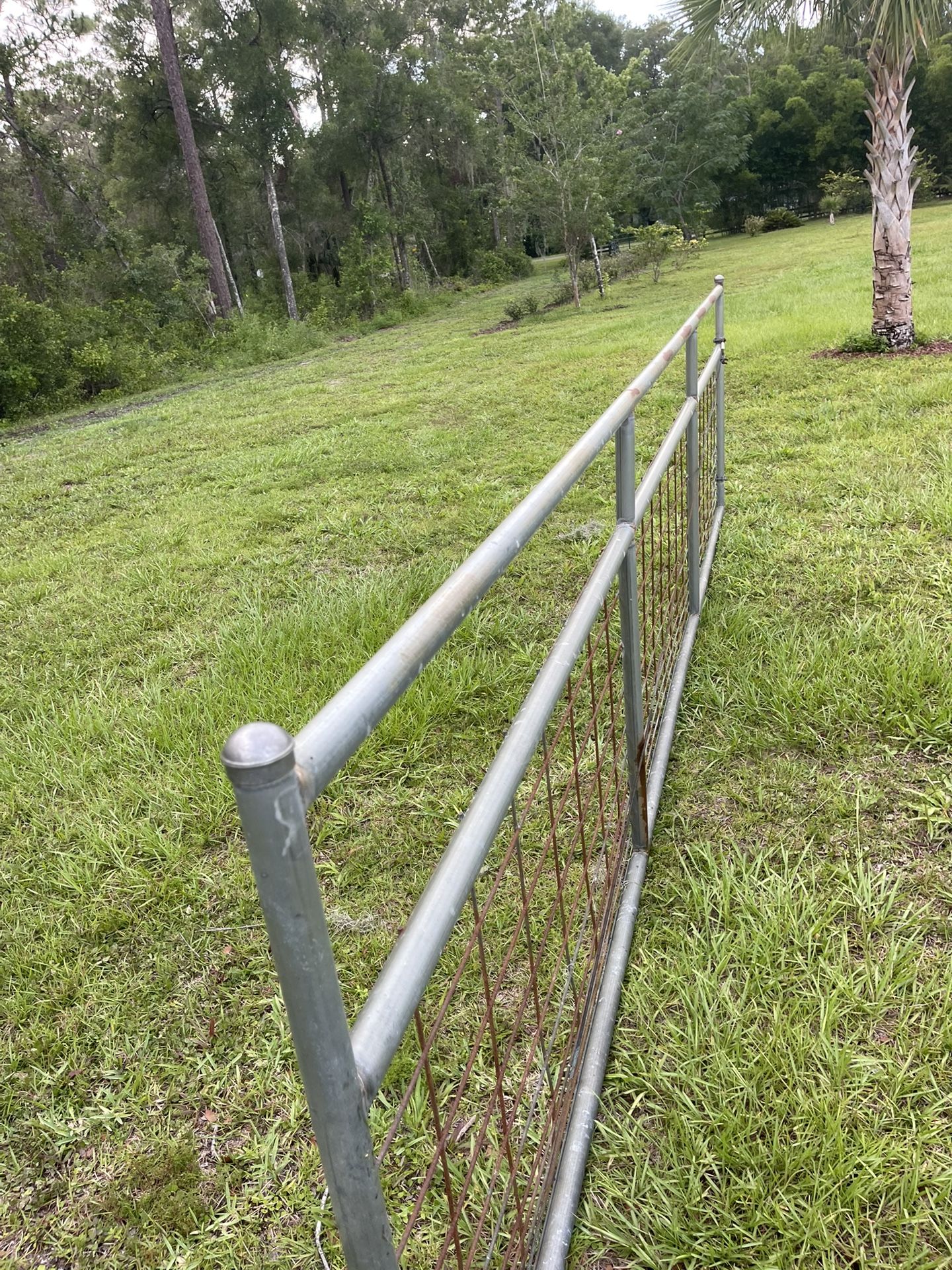 16 Foot Gate