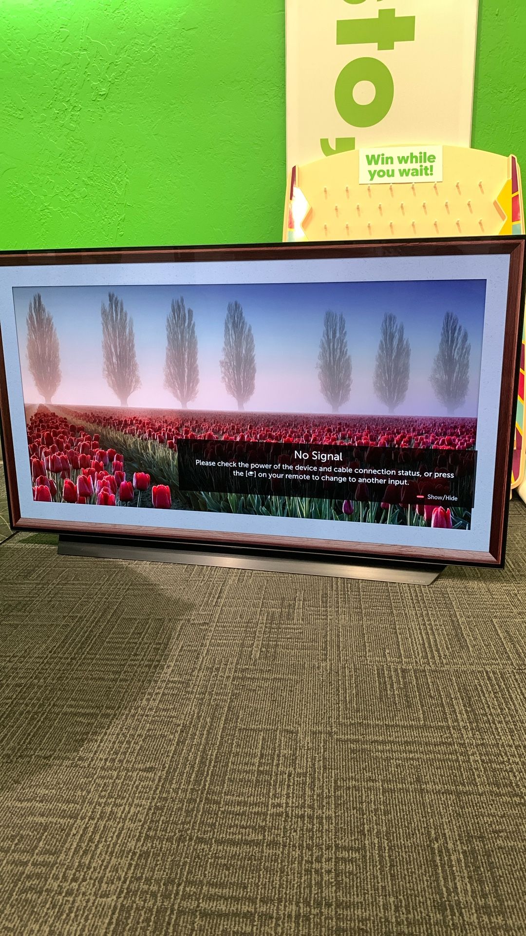 48” LG Smart TV With Remote