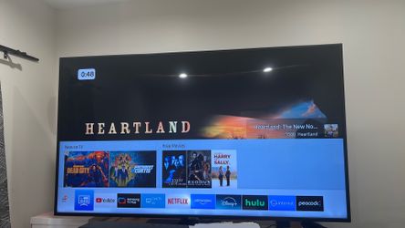 Samsung 55 inch TV