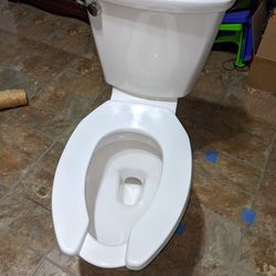Clean Toilet