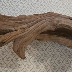 Large Heavy Drift Wood