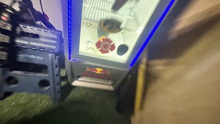 Red Bull Fridge with Blue LED Lighting