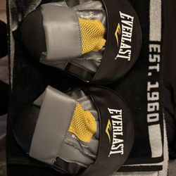 Everlast Punch Mitts 