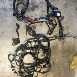 03-04 Cobra Engine Harness