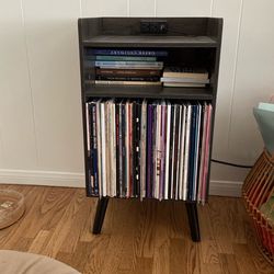 Record Organizer/Storage Shelf