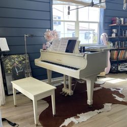 Private Piano Lesson In Chino