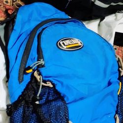 Camelback Backpack
