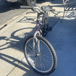 Purple Mountain Bike
