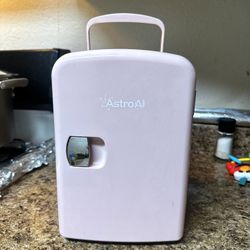 Mini Fridge 