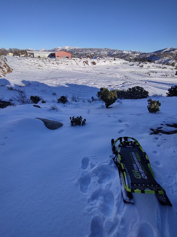 Yukon Charlie Hammerhead Pro HD Sled New In Box