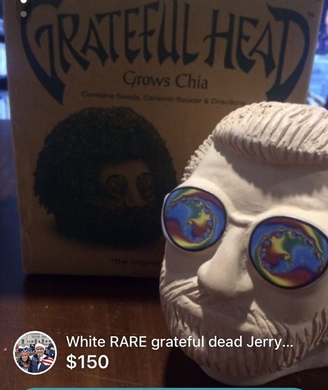 Rare Grateful Dead Jerry Garcia chia pet