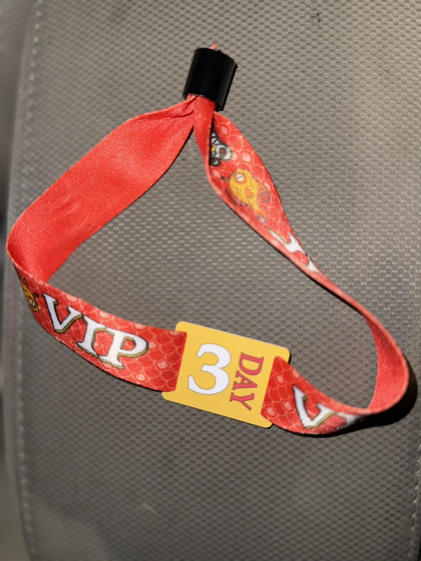 SummerSmash 2025 SATURDAY/ SUNDAY VIP PORTION MUST MEET AT FRONT ENTRANCE! $250