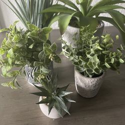 5 Decor Plastic Plants 