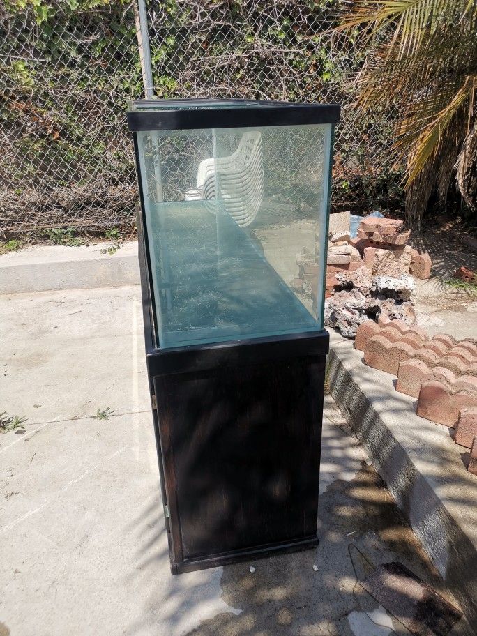 Fish Tank