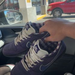 Purple Lobsters