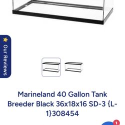 Fish Tank 36 X16.5 X18 40 gallon   
