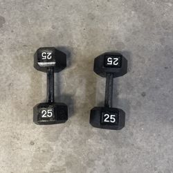 25lb Dumbbells 