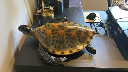 Decorative Turtle