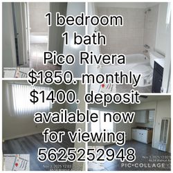 1 Bedroom 1 Bath 