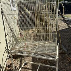Bird Cage