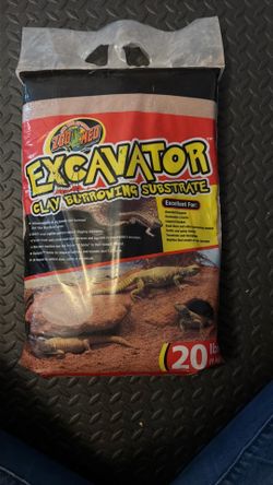 Lizard sand