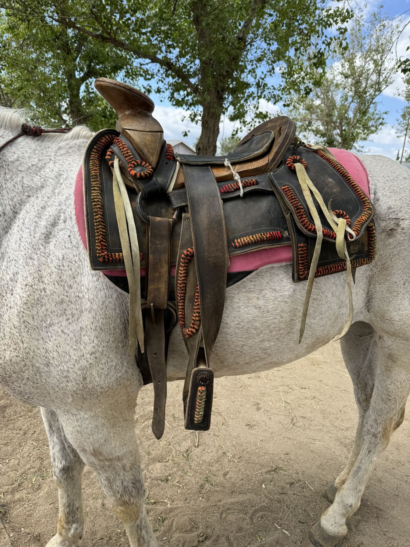 Horse Saddle 