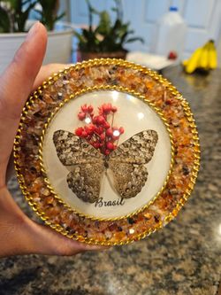 Vintage Trinket Box / Jewelry Box with Real Butterfly