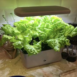 Aero Garden Hydroponic Kit