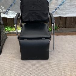 Salon Chair