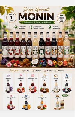 Monin Gourmet Syrup 1 Liter Bottles