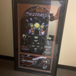 Framed Harley Davidson Slot Machine Glass With Collectible 100 Anniversary  Pins 