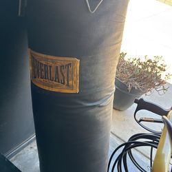 Everlast Heavy Bag