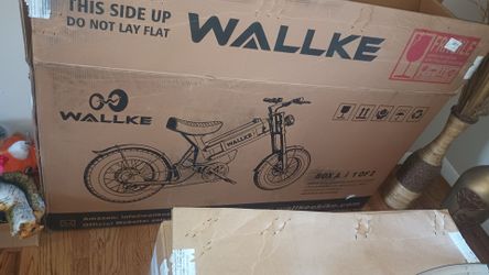 Electric bike