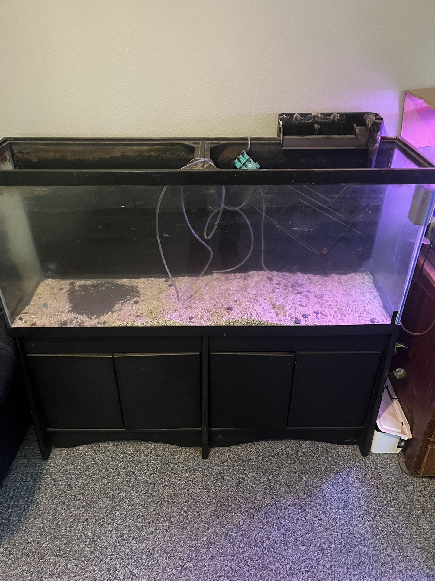 60 Gallon Fish Tank