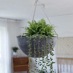 Hanging Planters for Indoor Outdoor Plants