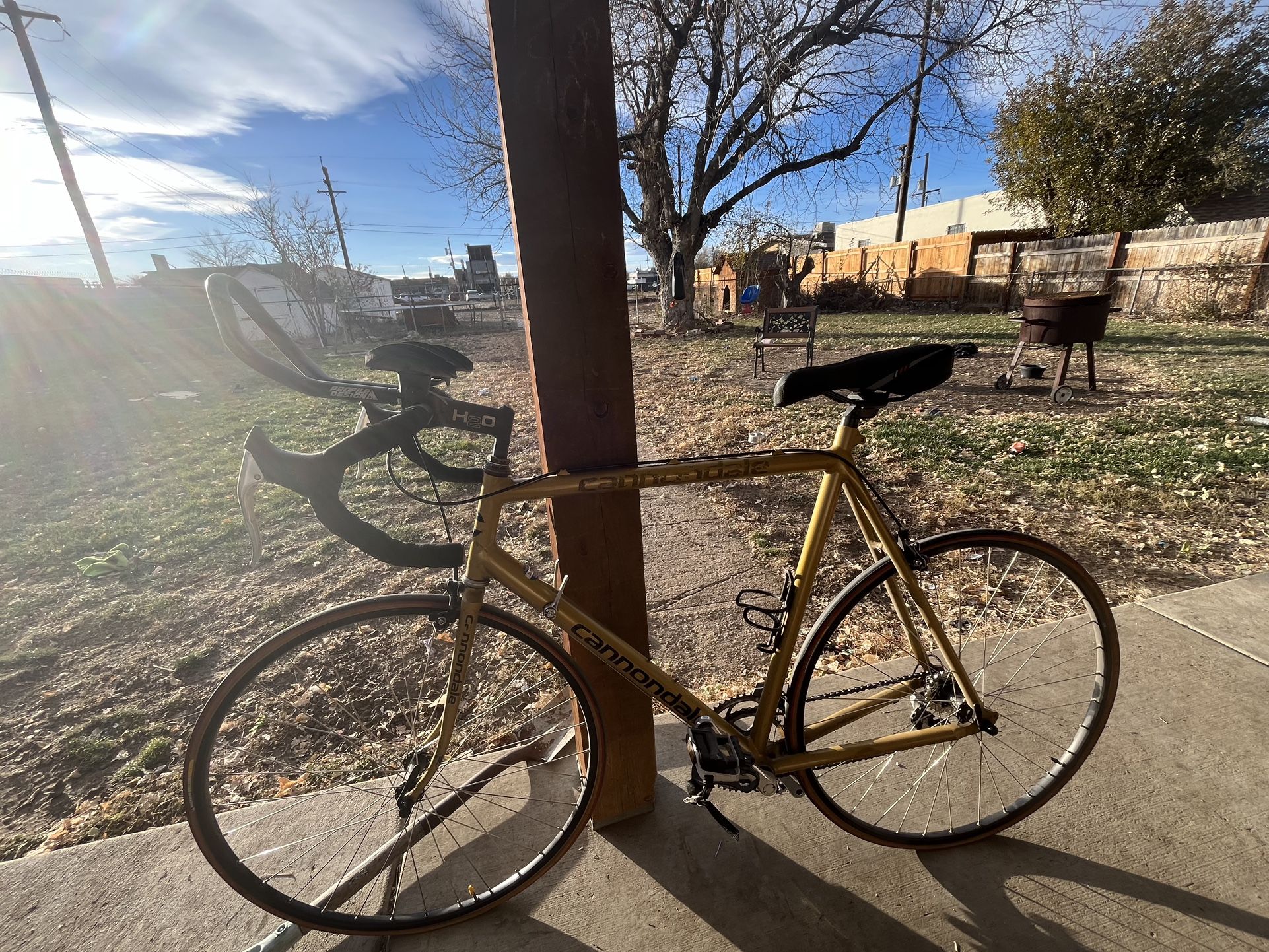 Cannondale Race Bike