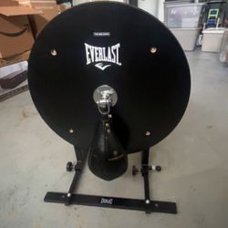 Boxing Speed Bag 