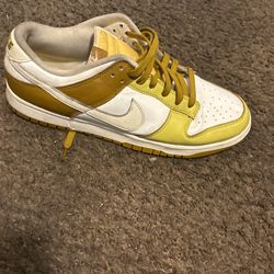 Nike Dunks Size 11