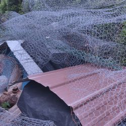 Chicken Wire 