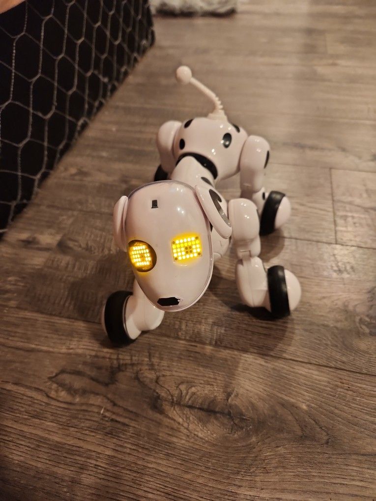 Robot Dog