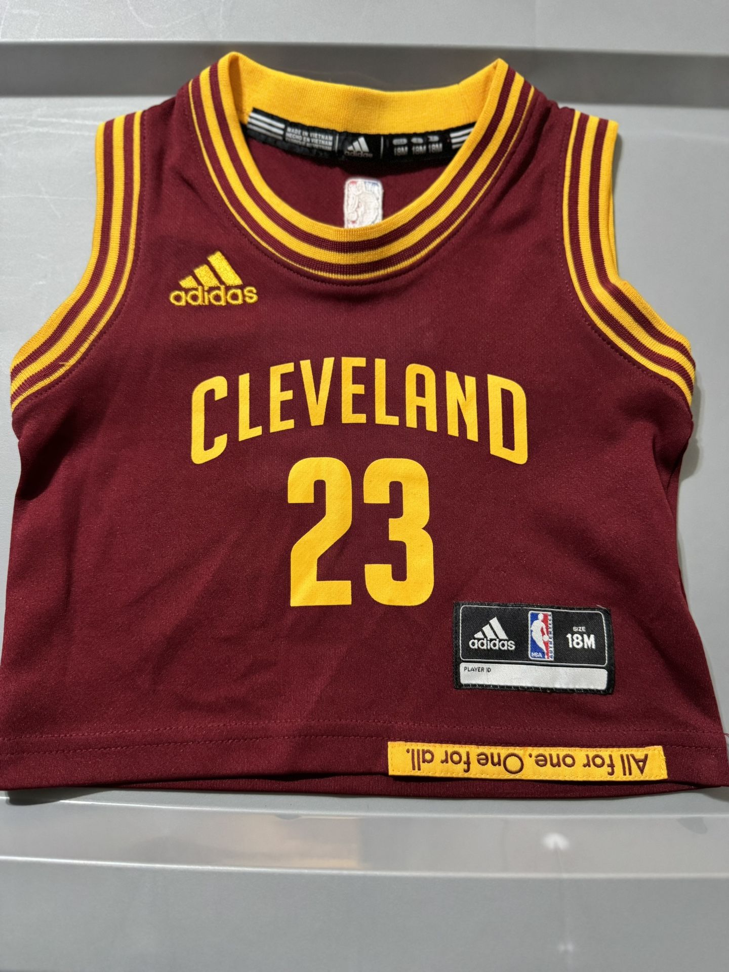 Cleveland Cavs Jersey Lebron James