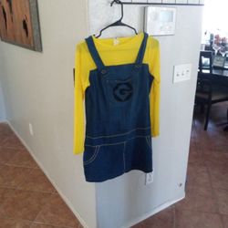 Despicable ME Costume 