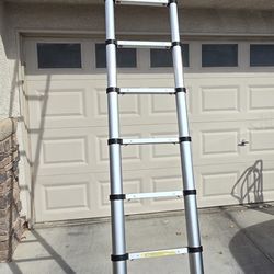 Ladder Telescoping 12 ft
