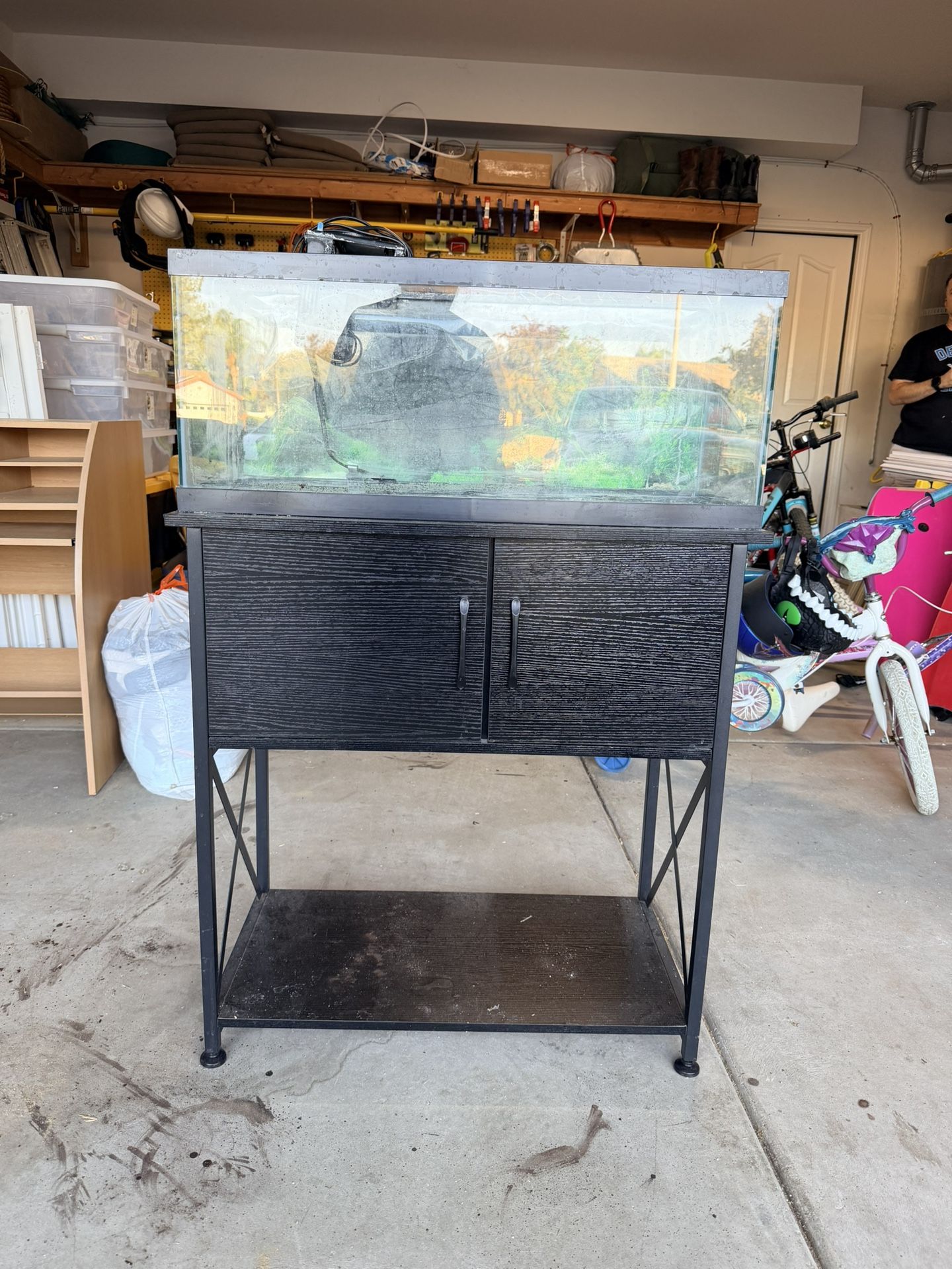 20 Long Fish Aquarium W/Stand, Filter
