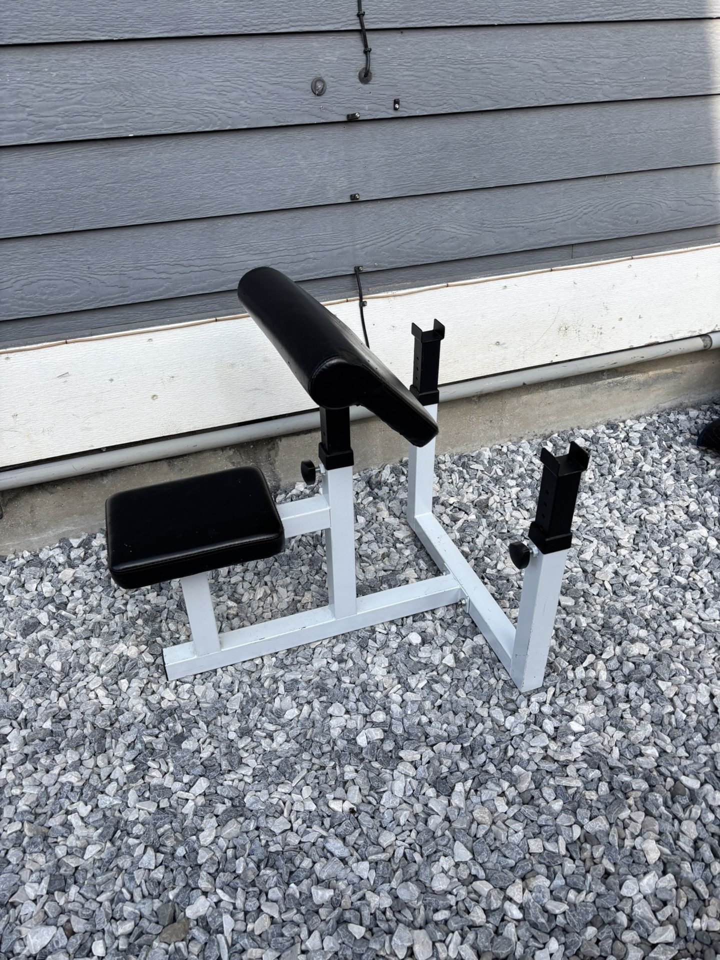 Preacher Curl Bench