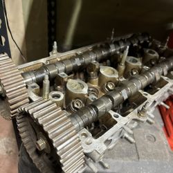B18 Head